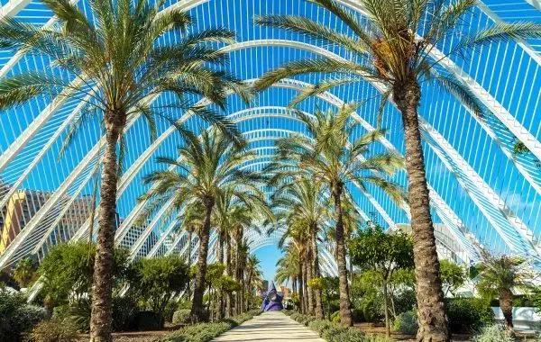 Goedkope vliegtickets Valencia