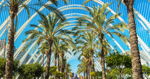 Goedkope vliegtickets Valencia