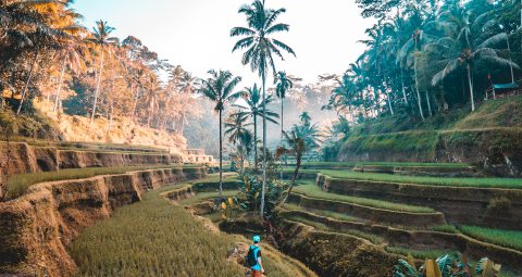 Goedkope vliegtickets Bali