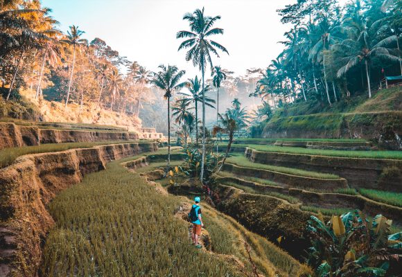 Goedkope vliegtickets Bali