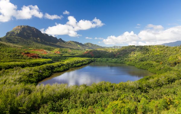 Goedkope vliegtickets Lihue