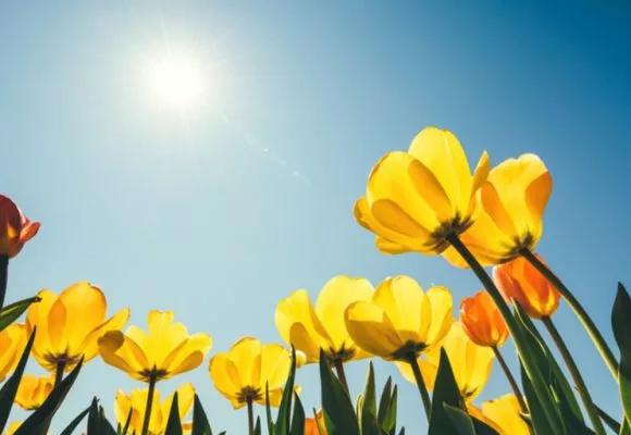 goedkope-vliegtickets-meivakantie