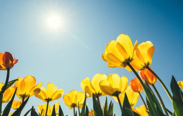 goedkope-vliegtickets-meivakantie