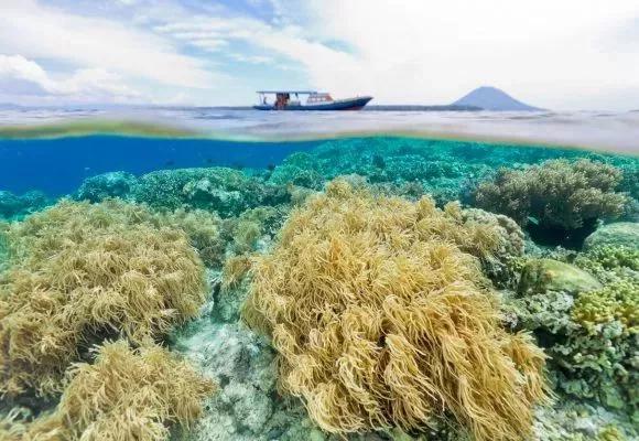 Goedkope-vliegtickets-Manado-Indonesie