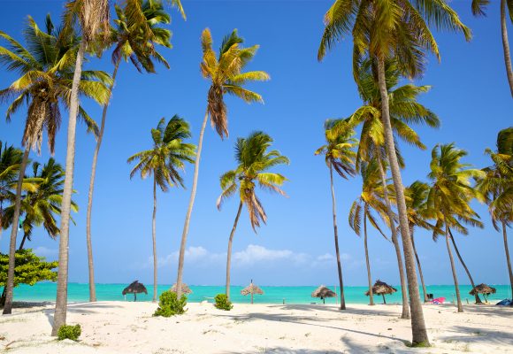 Goedkope vliegtickets Zanzibar