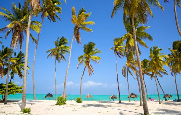 Goedkope vliegtickets Zanzibar