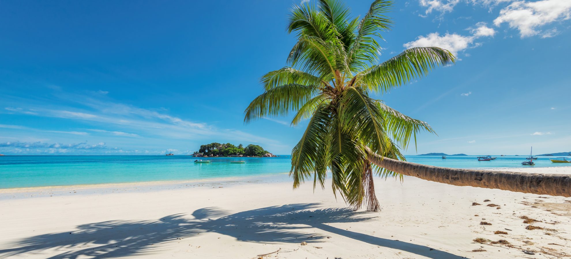 Jamaica-paradijselijk-strand