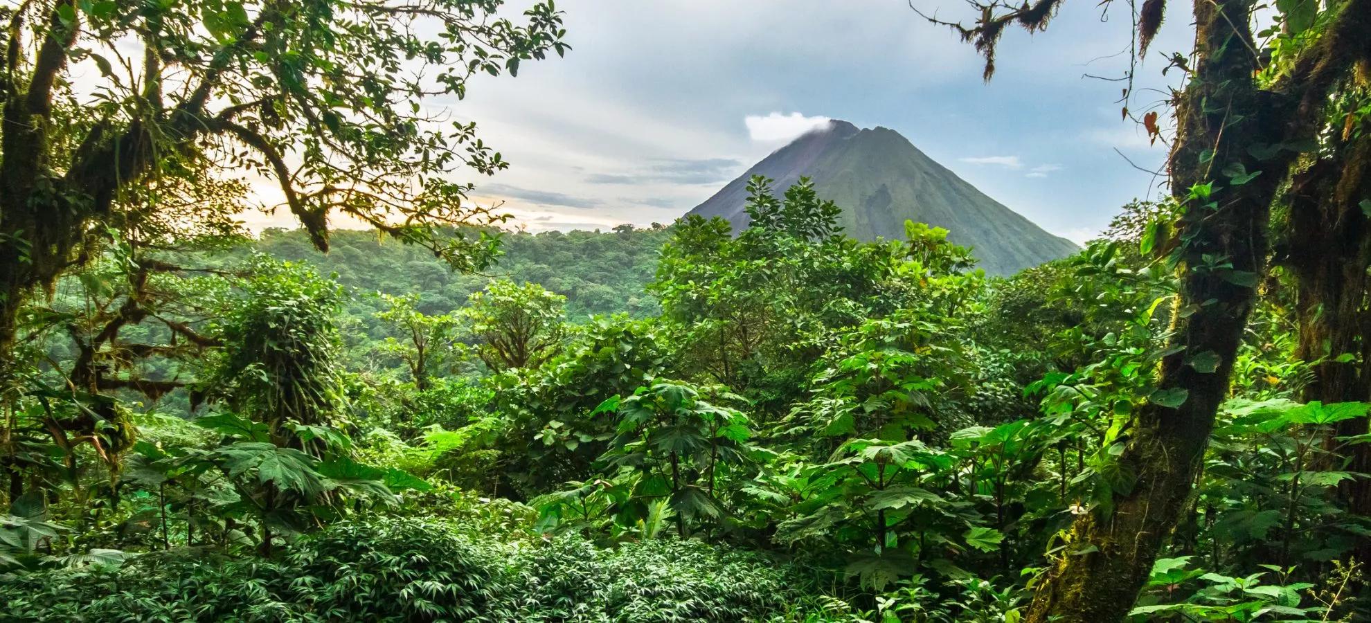 Volcan Arenal en Costa Ricaanse Jungle