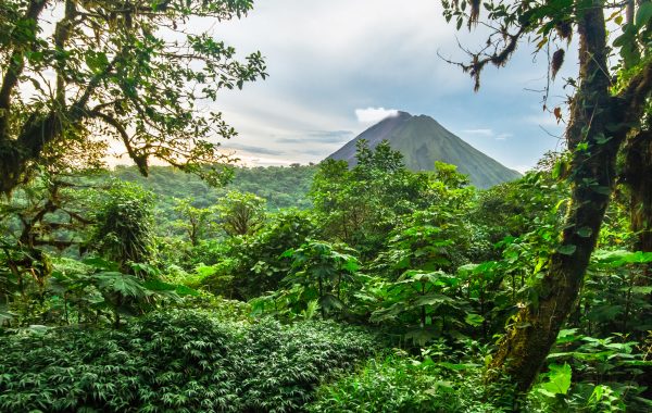 Volcan Arenal en Costa Ricaanse Jungle