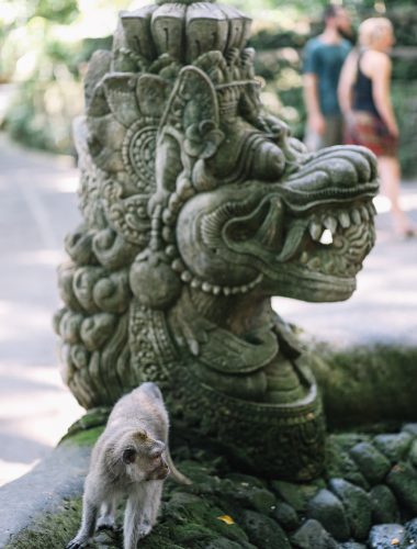 Bali - Monkey Forest
