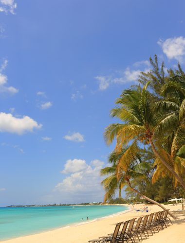 Curaçao - Grote Knip