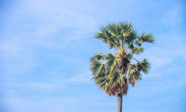 Het weer in de Algarve