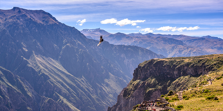 Goedkope-vliegtickets-Peru-Lima-blog-Colca-Canyon