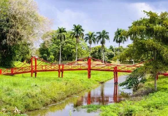 Goedkope-vliegtickets-Suriname-Paramaribo