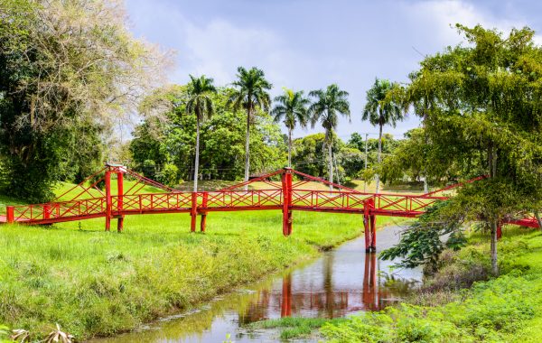 Goedkope-vliegtickets-Suriname-Paramaribo