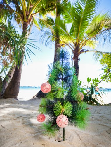 Kerstboom op het strand