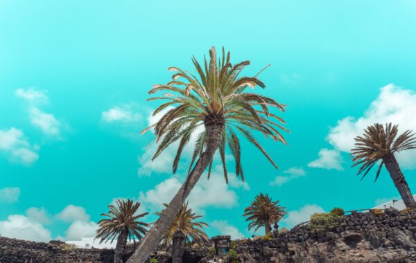 Vliegtickets-Canarische-Eilanden-Spanje-Lanzarote