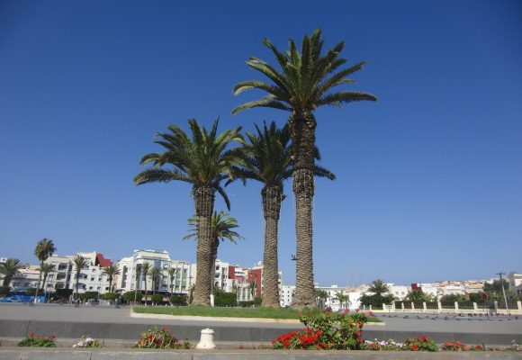 Goedkope vliegtickets Al Hoceima