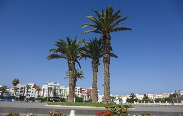 Goedkope vliegtickets Al Hoceima