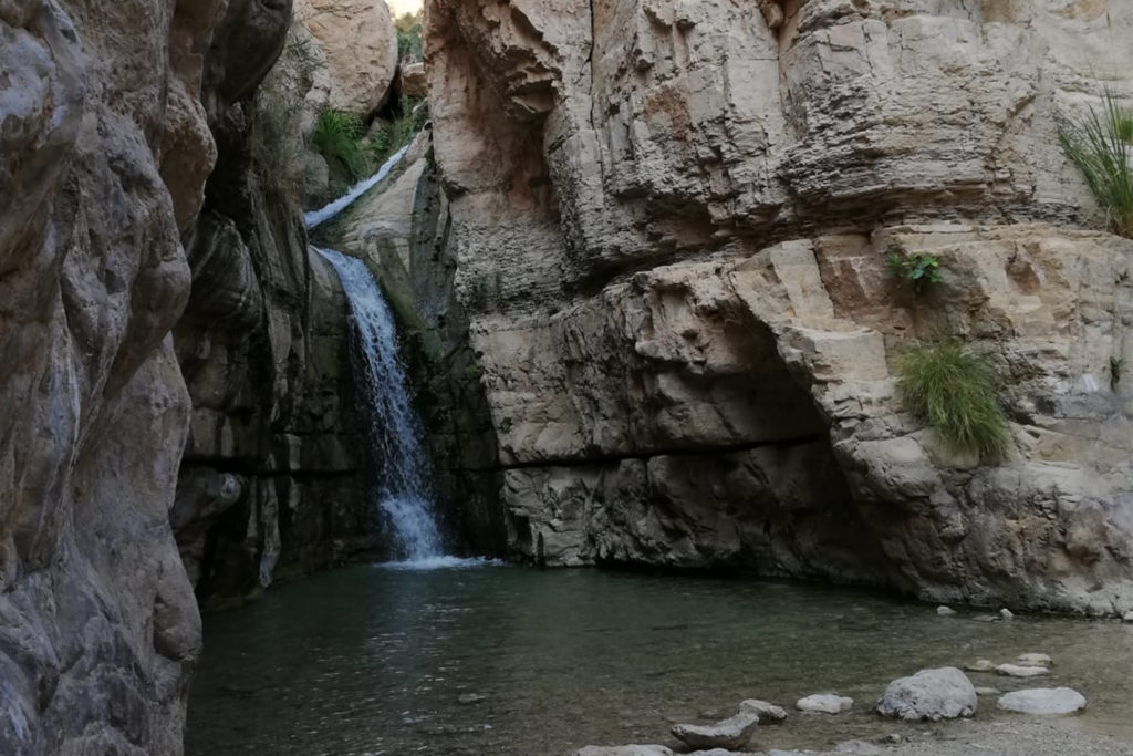 Blog vakantie Israël - Ein Gedi Nature Reserve