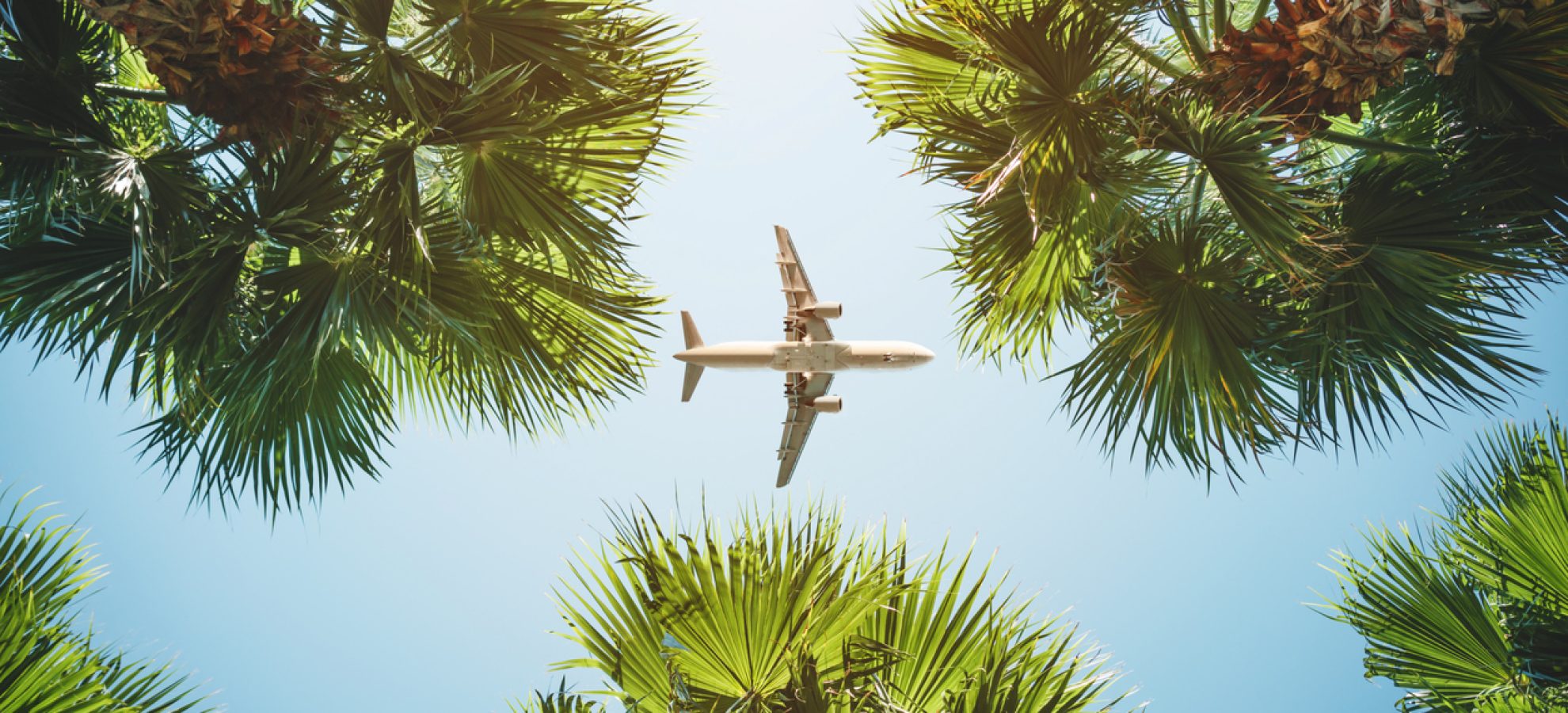 Goedkope-vliegtickets-tropical-palmtrees-airplane