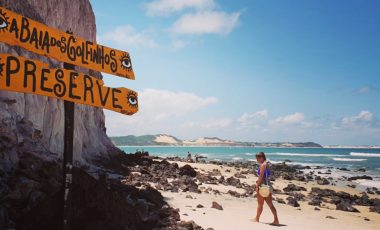 Ontdek het Braziliaanse Pipa - header