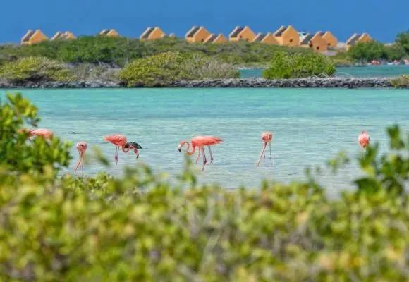 Bonaire, Dutch Antilles, Carribbean