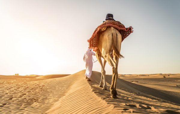 Dubai, United Arab Emirates, Middle East