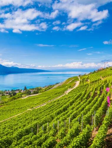 Geneva, Switzerland, Europe