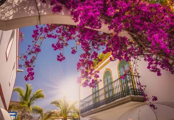 Gran Canaria, Canary Islands, Spain