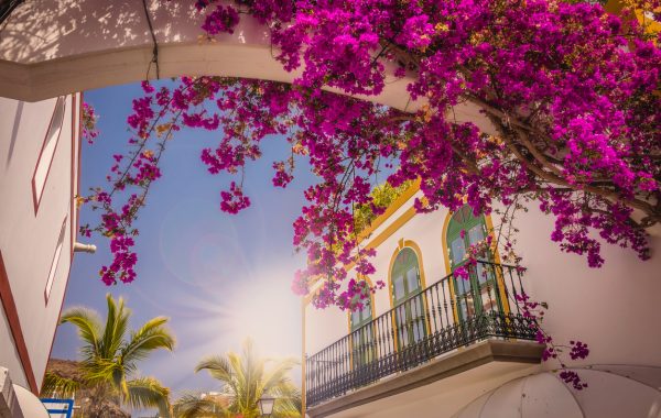 Gran Canaria, Canary Islands, Spain