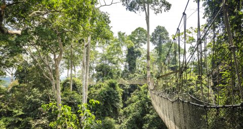 Ghana, Kakum National Park