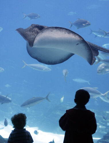 Family in Atlanta, USA