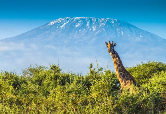 Kilimanjaro, Tanzania
