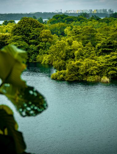 Pulau Ubin, Singapore