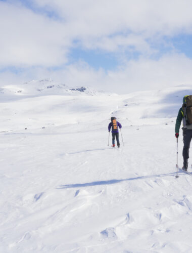 Three Back Country skiers on Hardangervidda plane north of Haukel village in Norway