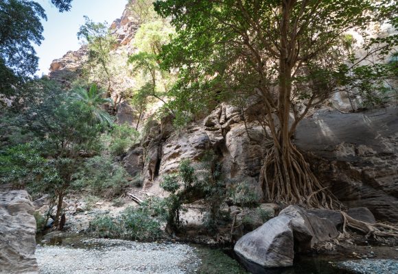 Gizan, Saudia Arabia