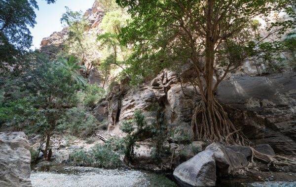 Gizan, Saudia Arabia