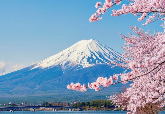 Japan - Qatar Airways