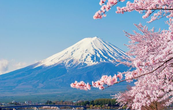 Japan - Qatar Airways