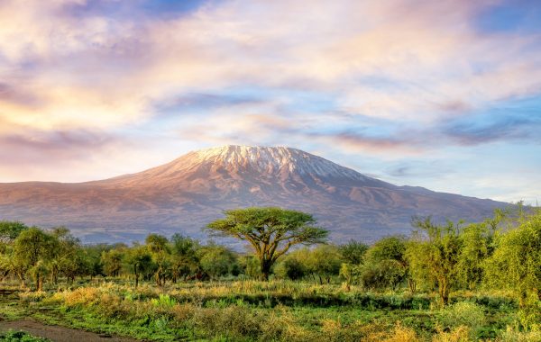 Nairobi, Kenya - Qatar Airways