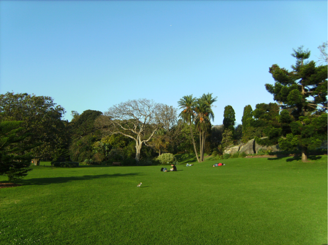Botaniska trädgården i Sydney