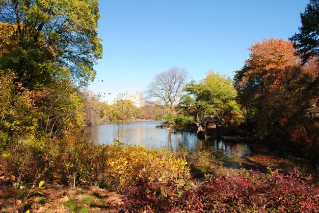 Vackra höstfärger i Central Park. Foto: privat