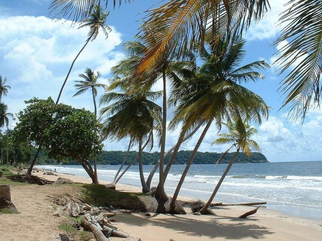 Mayaro Beach på Trinidads östra sida. 
