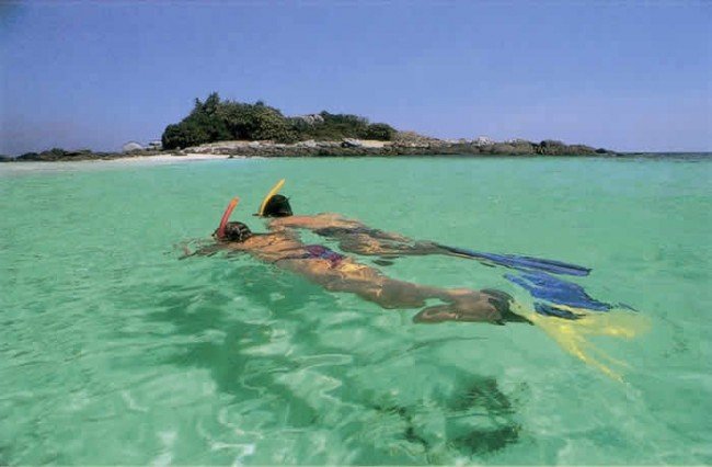 Snorkla tillsammans eller dyk med tuber vid Similian Islands, Thailand. 