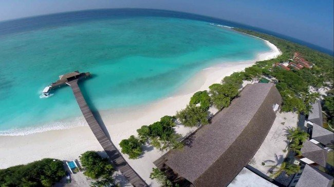 Bild från hotellet The Barefoot Eco Hotel på Maldiverna
