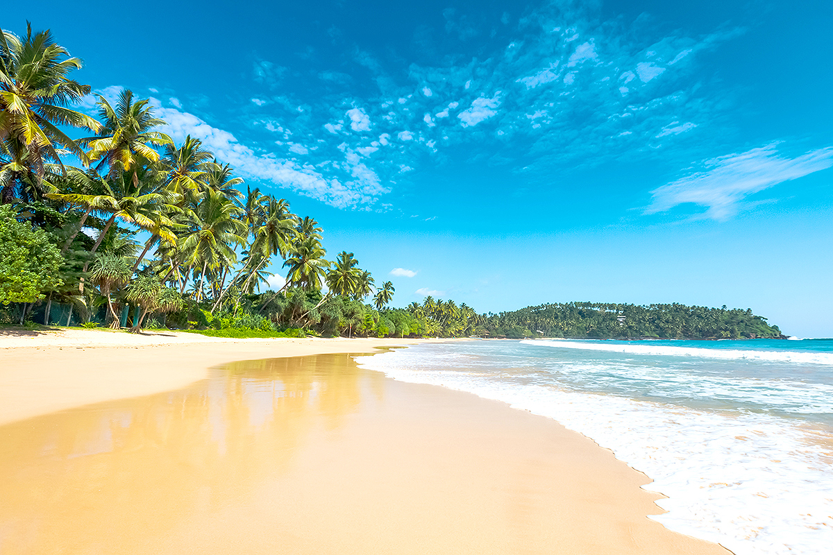 Bild från strand på Sri Lanka