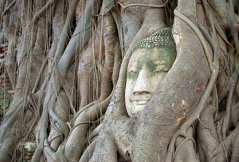 Bild från Ayutthaya i Thailand