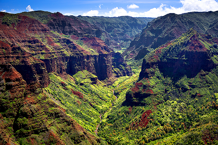 Bild från Waimea Canyon på Hawaii