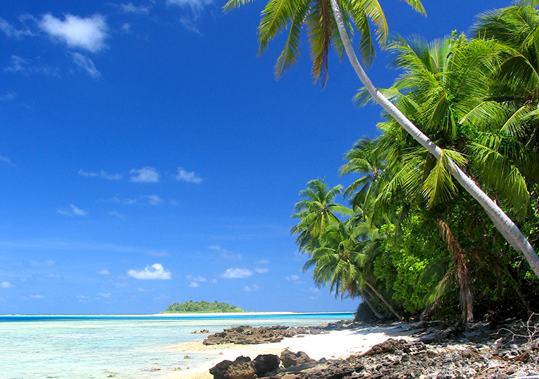 Bild på en palmkantad öde strand på ön Tuvalu